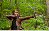 the-hunger-games.top_