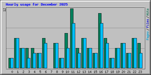 Hourly usage for December 2025
