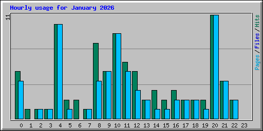 Hourly usage for January 2026